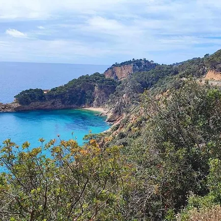 Espiga Cala Privada Tossa De Mar