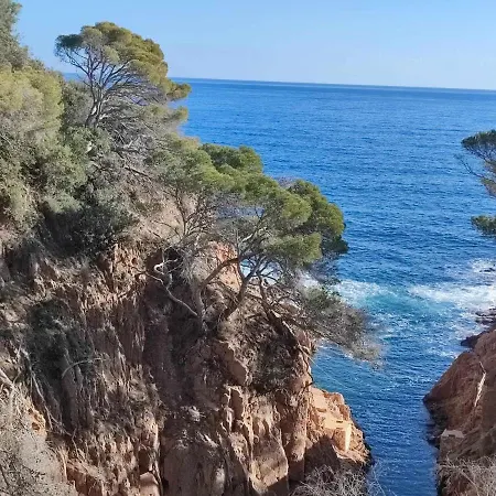 Espiga Cala Privada Tossa De Mar Apartment