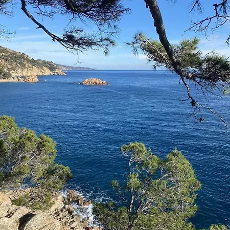 Apartment Espiga Cala Privada Tossa De Mar Girona