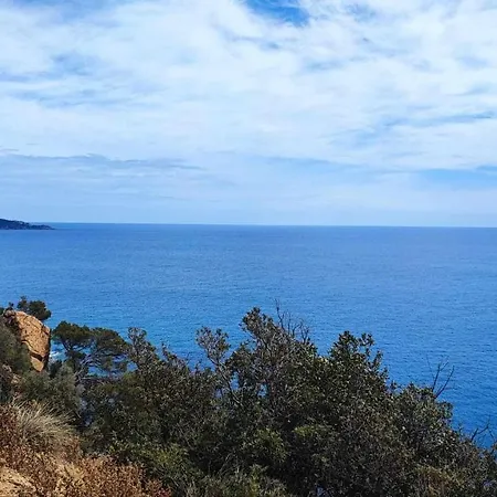 Espiga Cala Privada Tossa De Mar Apartment *