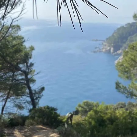 Espiga Cala Privada Tossa De Mar Girona